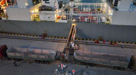 活禽海运-活？赡芙诼