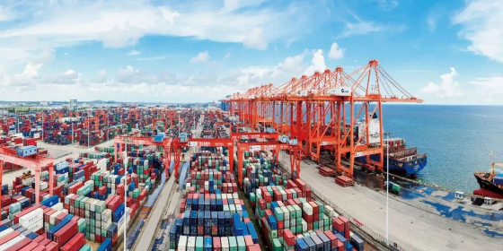 什么是海运港口服务？