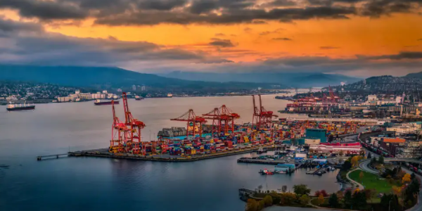 进口量激增，北美大港面对严沉拥挤！