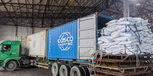 ?有机肥料可能走集装箱海运吗，必要留心什么？