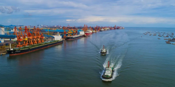 什么是集装箱船舶内贸海运行表贸？