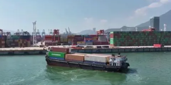 国内海运，内贸集装箱海运收费全解析！