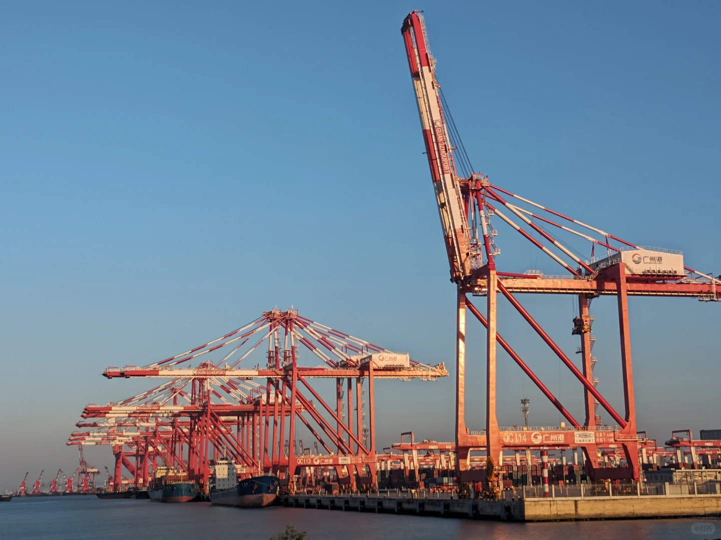 若何理解海运中的“甩柜”？