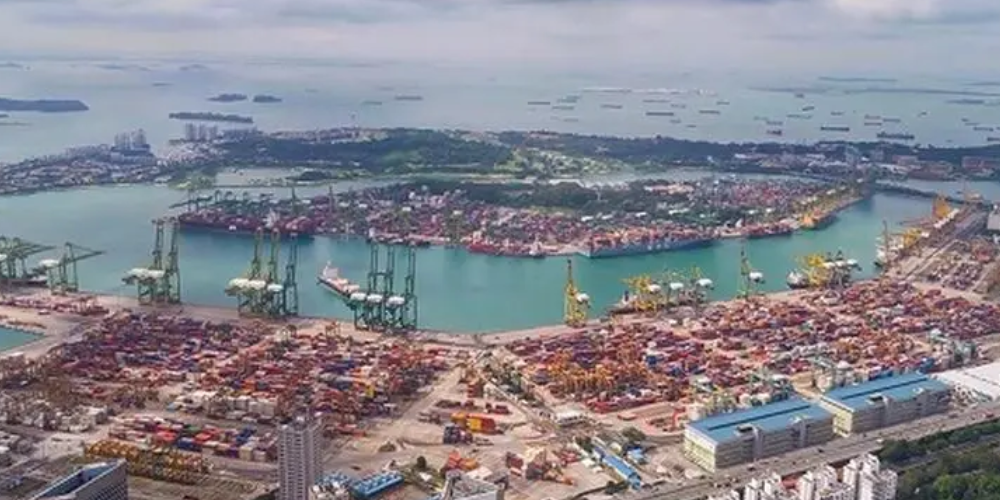 首页-人生就是博手机版