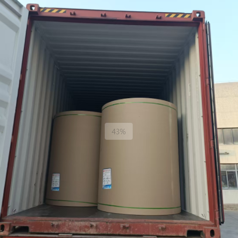 原木卷纸纸张可能走集装箱海运吗