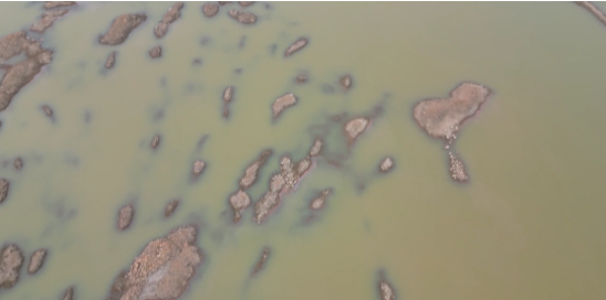 首页-人生就是博手机版