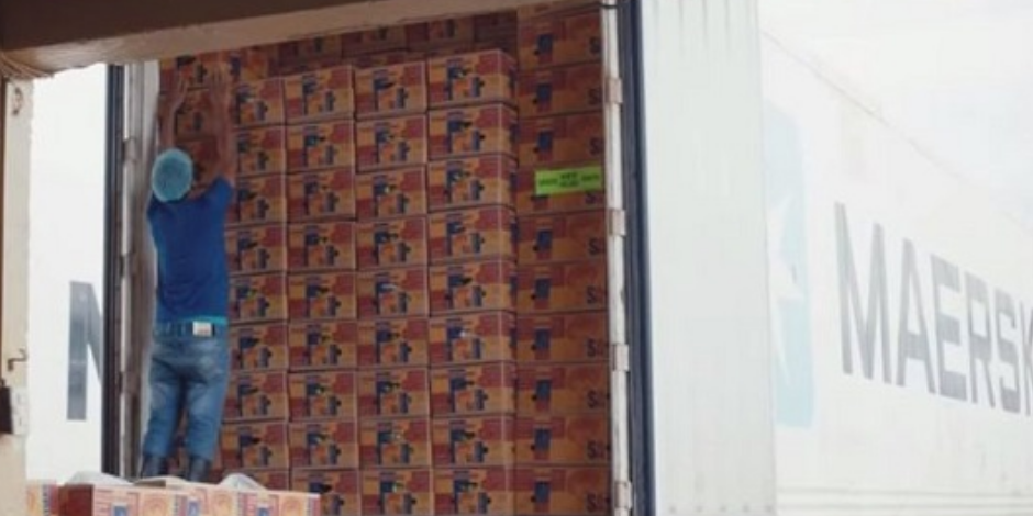 首页-人生就是博手机版