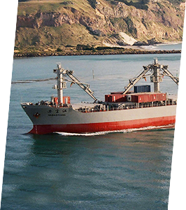 首页-人生就是博手机版